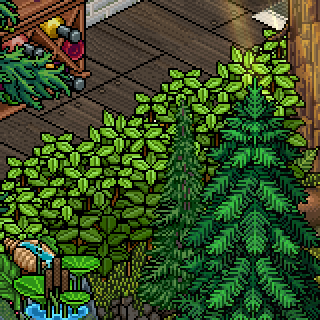 Photo by IDanny
