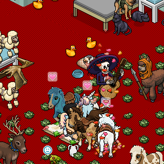 Photo by Donateca