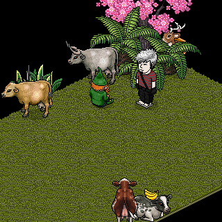 Photo by _:legolas:_