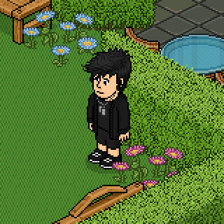 Photo by Carlinho_.