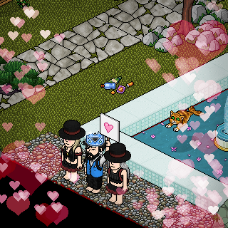 Photo by Lunyh