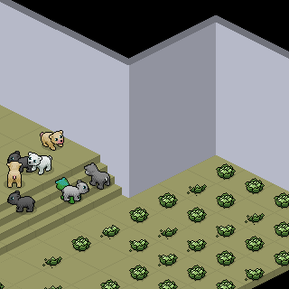 Photo by @Pedro-Habbo@