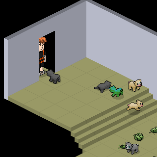 Photo by @Pedro-Habbo@