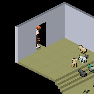 Photo by @Pedro-Habbo@