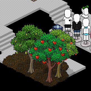Photo by @Pedro-Habbo@