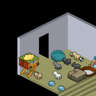 Photo by @Pedro-Habbo@