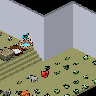 Photo by @Pedro-Habbo@