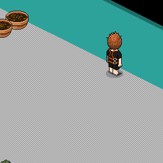 Photo by @Pedro-Habbo@