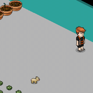 Photo by @Pedro-Habbo@