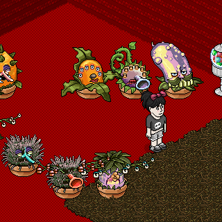 Photo by Esquentadaa