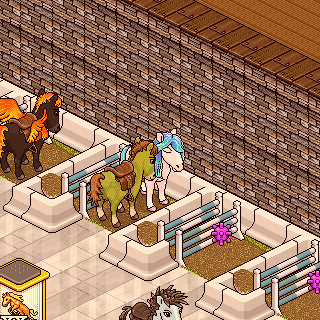 Photo by ananicoleHabbo