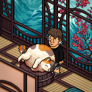 Photo by miguel-henrique
