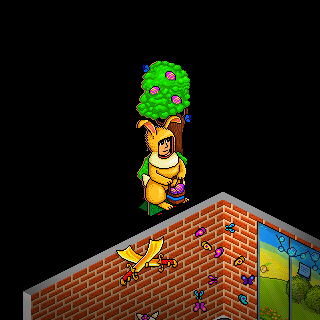 Photo by TheuMixHabbo