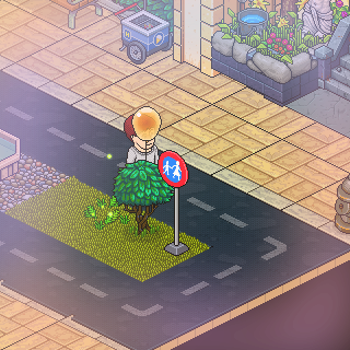 Photo by TheuMixHabbo