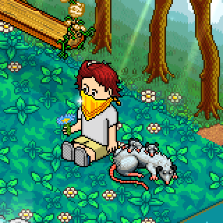 Photo by TheuMixHabbo
