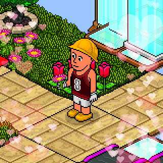 Photo by TheuMixHabbo