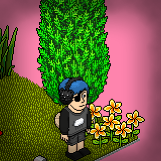 Photo by TheuMixHabbo