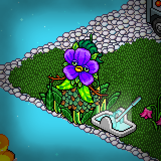 Photo by TheuMixHabbo