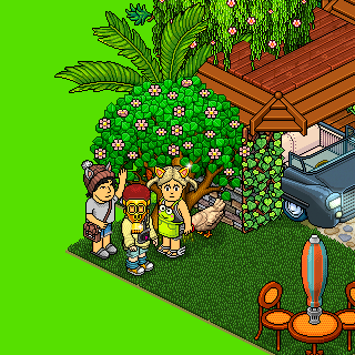 Photo by TheuMixHabbo