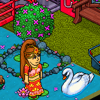 Photo by Fernanda231089