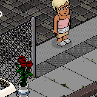 Photo by @ISA,LINDA