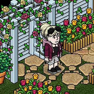 Photo by vivianaafonso
