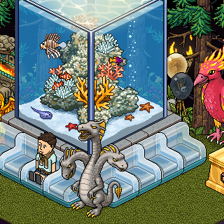Photo by :Blitz