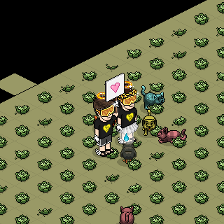 Photo by carlarokrbr