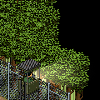 Photo by lucas.lolHabbo