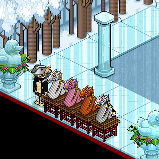 Photo by zaqueu54
