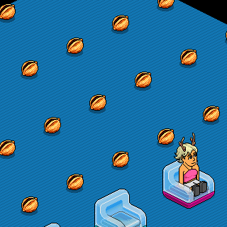 Photo by Glc