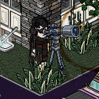 Photo by ,Levi