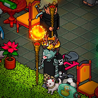 Photo by Jergal