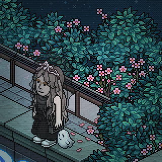 Photo by marilia.