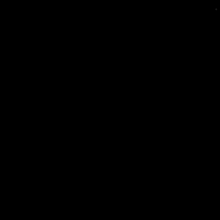 Photo by renato6250