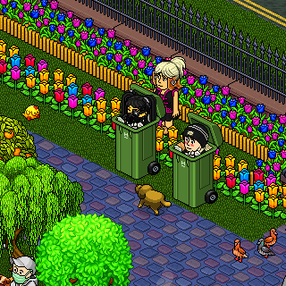 Photo by lannah_barreto