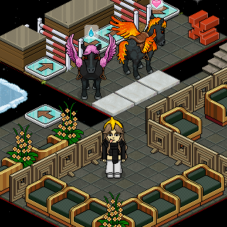 Photo by zxps
