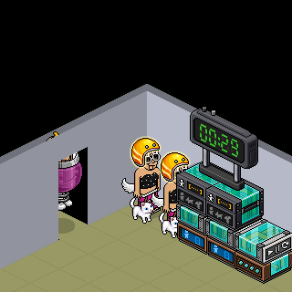 Photo by zxps