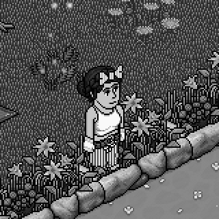 Photo by Aniinha-o.o