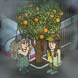 Photo by Aniinha-o.o