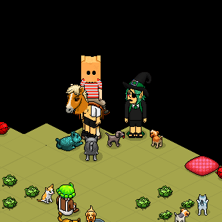Photo by Mr.Habbo01
