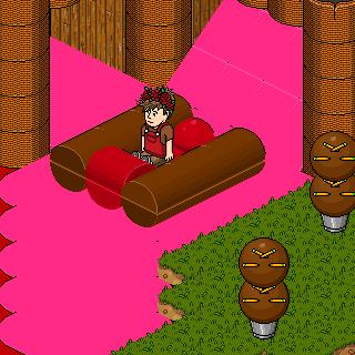 Photo by 16!