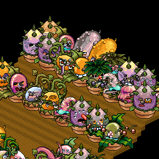 Photo by Perfeccionismo