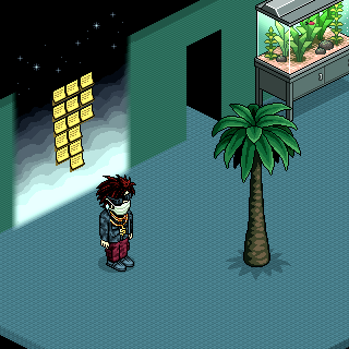 Photo by Halls:semnome