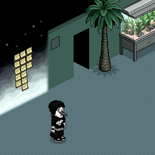 Photo by Halls:semnome