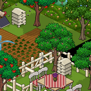 Photo by .matheusolihop.