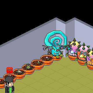 Photo by olival36