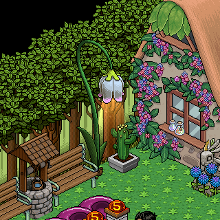Photo by -Zoiinho