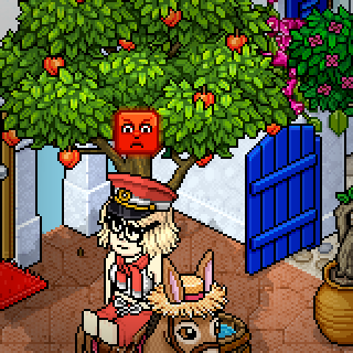 Photo by bruna123s2s2