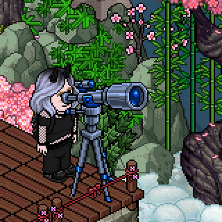 Photo by Swyne